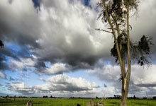 第九届亚冬会即将开幕 阿联酋代表团在迪拜举行出征仪式央视新闻客户端.